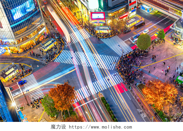 繁华十字路口俯视图涩谷区和涩谷十字路口，东京鸟瞰图.